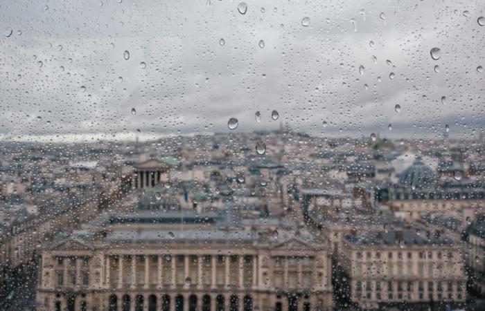 Regen und Wind im Norden, Milde im Südosten … Frankreich hat diese Woche zwei Einschnitte gemacht