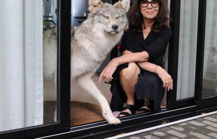 PORTRÄT. Sophie Calle, Kaiserin der Intimität und der Paradoxien