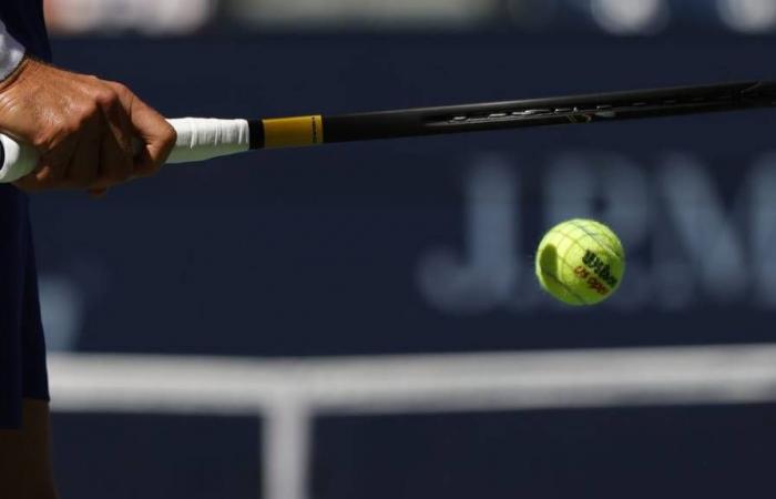 Rakuten Japan Open Tennis Championships Wettquoten und Spielvorschau für Herren-Einzel am 29. September 2024