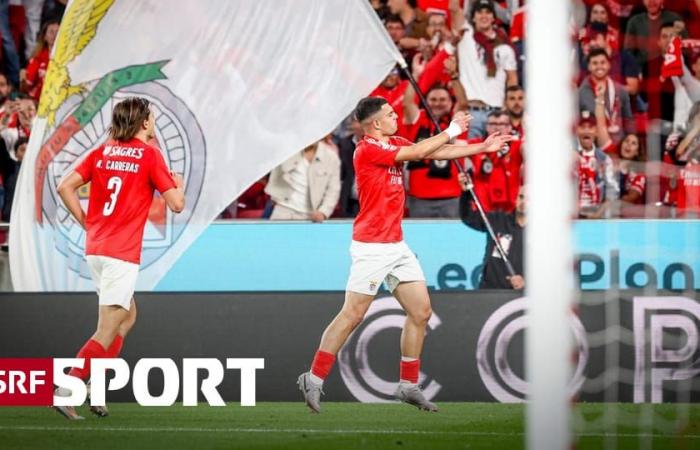 Internationale Fußballnachrichten – Amdouni punktet zum ersten Mal für Benfica – Sport