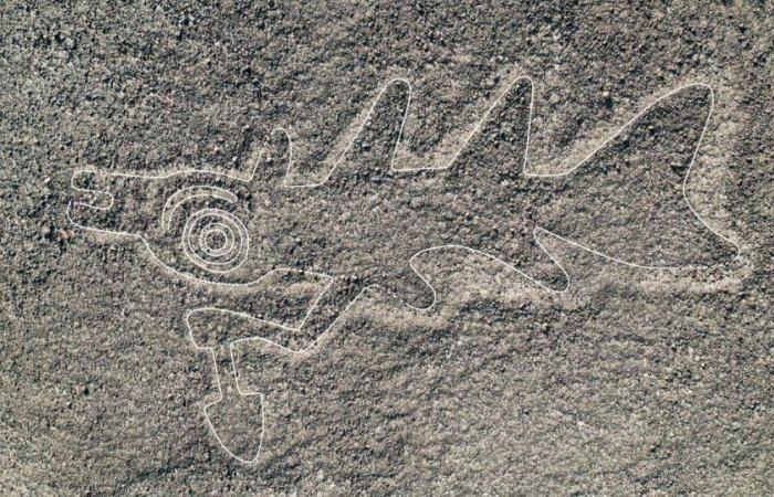 300 Nazca-Geoglyphen mithilfe künstlicher Intelligenz entdeckt