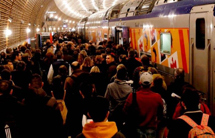 Eine tote Frau, die Einrichtung einer psychologischen Einheit, die Abriegelung des Bahnhofs … Update zum schrecklichen Unfall am Bahnhof Monaco