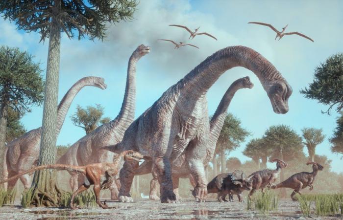 Dinosaurierstudie stellt Bergmanns Regel in Frage