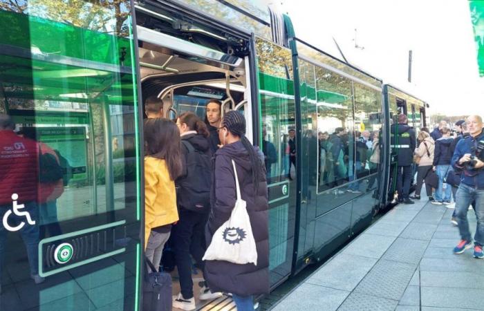 Welche Störungen gibt es in Bussen und Straßenbahnen?