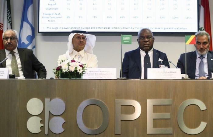 OPEC+ steht vor Herausforderungen