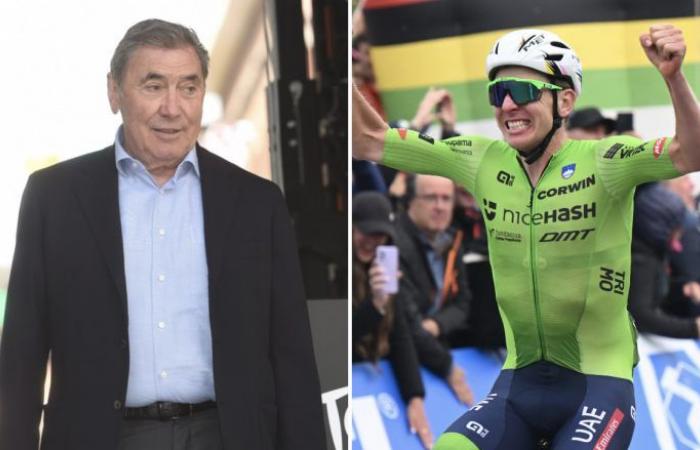 Radfahren. Straße – Welten – Eddy Merckx: „Pogacar? Ich habe bei 100 km nicht angegriffen.“