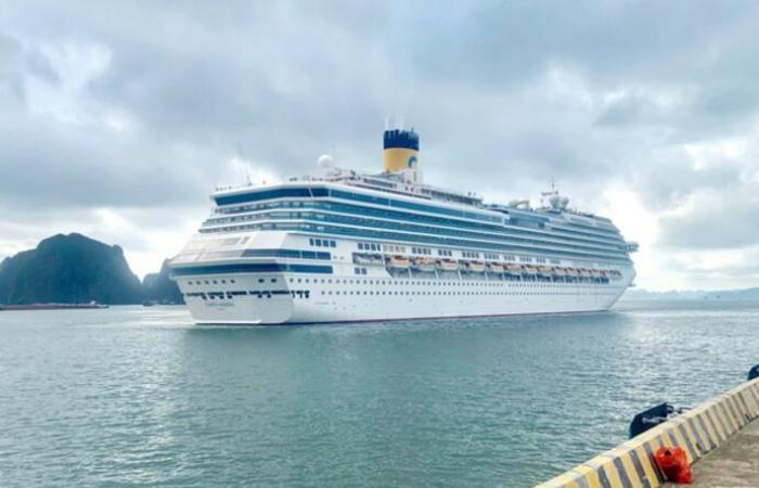 Kreuzfahrtschiff bringt fast 3.000 internationale Touristen nach Ha Long