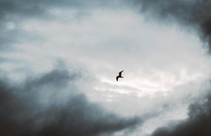 Eine seltsame blaue Masse im Auge des Hurrikans Helene könnte auf gefangene Vögel hinweisen