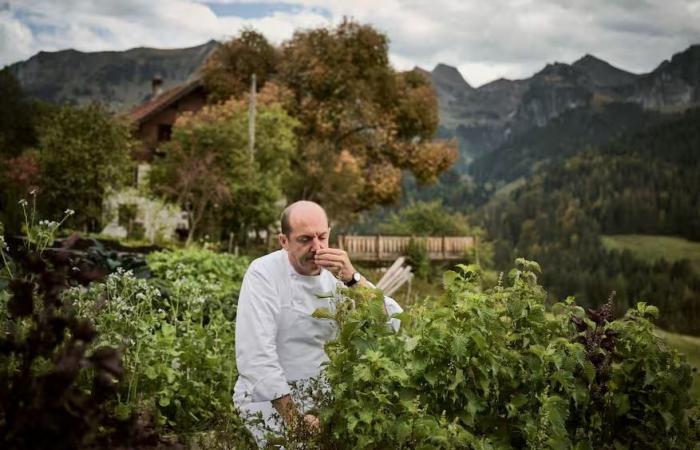 Marco Campanella zum Koch des Jahres 2025 gekürt – rts.ch