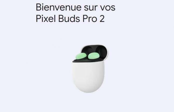 Pixel Buds direkt unter Windows und MacOS steuerbar