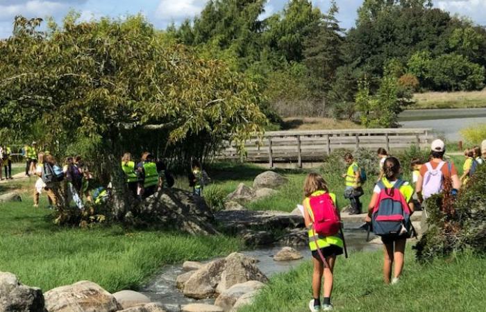 Schulen und Wandern im Jahr 2024 – die Ergebnisse