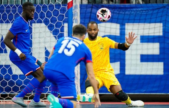 Warum die Futsal-Blues alles haben, um vom Titel zu träumen