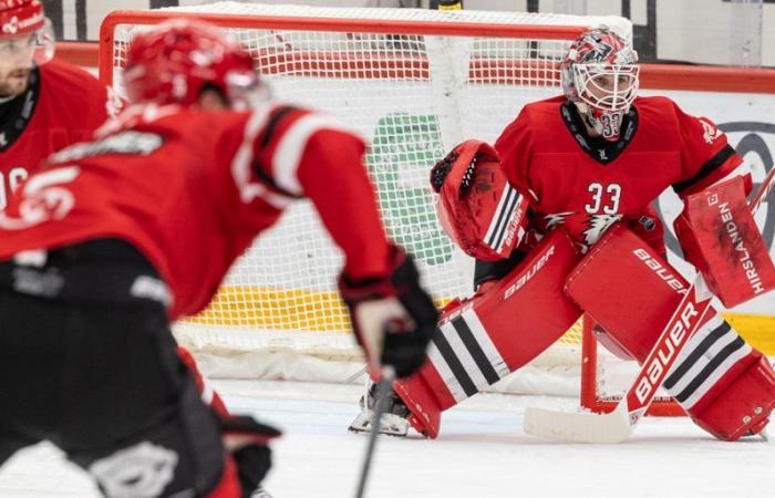 Der LHC beginnt seine Woche heute mit dem Empfang des HC Bienne in der Vaudoise Arena – Lausanne HC