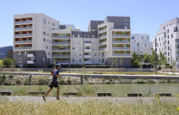 Aubervilliers, Saint-Ouen … In Seine-Saint-Denis setzt der Immobilienmarkt auf den Olympia-Effekt