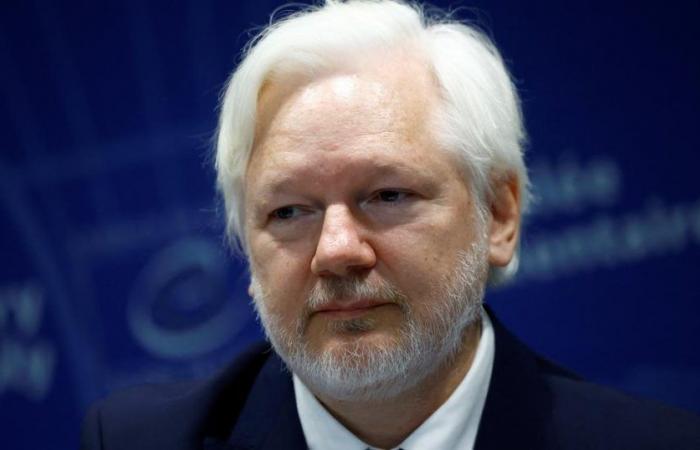 Julian Assange spricht vor dem Europarat