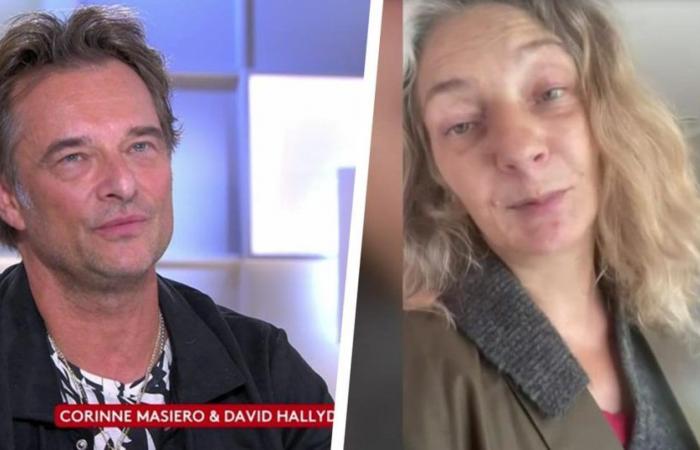 die erstaunliche Nachricht von Corinne Masiero an David Hallyday