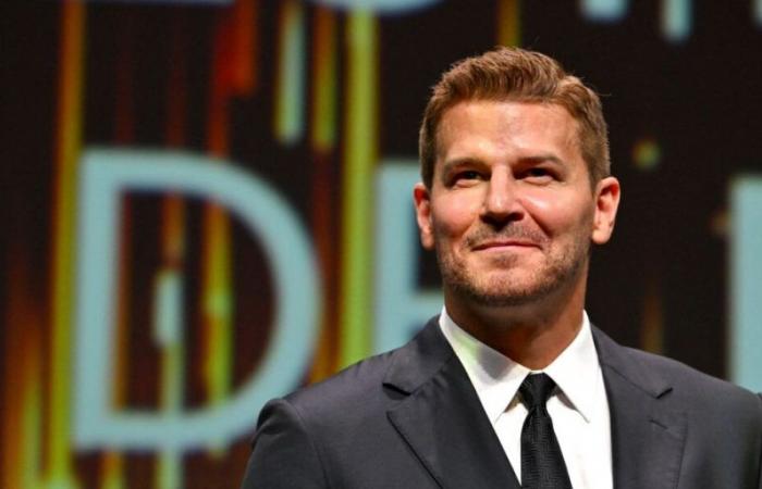 Der traurige Grund für den Abschied von David Boreanaz aus der Seal Team-Serie