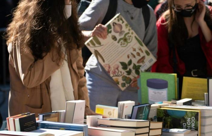 Wann findet die nächste Buchmesse in Esternay statt?