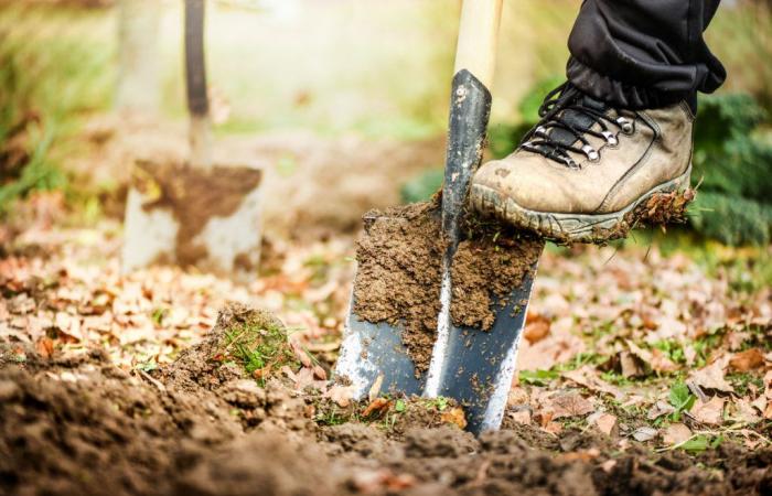 Mann macht in seinem Garten eine widerliche Entdeckung