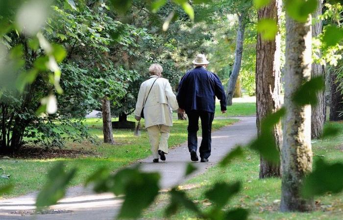 Erhöhung der APL und kleiner Renten, Erhöhung des Benzinpreises … was sich am 1. Oktober 2024 ändert