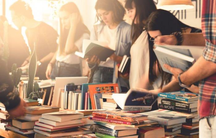 Gironde-Bibliotheken verkaufen alle ihre Bücher und CDs für 1 € in Bordeaux