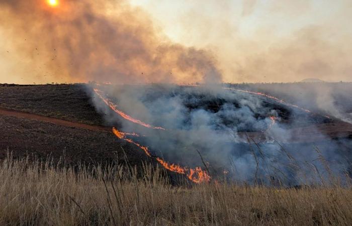 BUSH BRÄNDE – Besorgniserregende verheerende Brände entlang der RN4