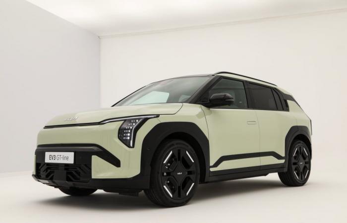 Der neue Elektro-SUV ist deutlich günstiger als der Niro