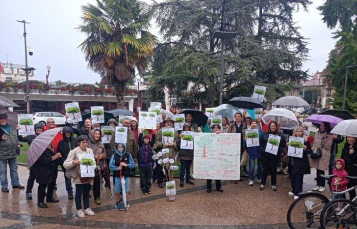 Yvelines. Rund fünfzig Demonstranten protestieren gegen das Fällen von Bäumen