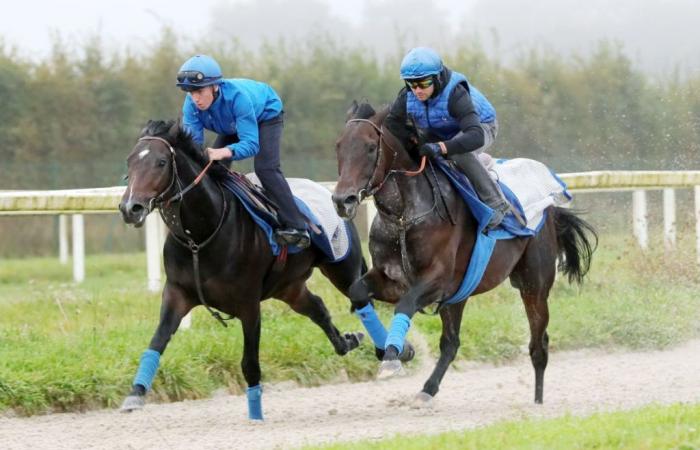 Haya Zark steht an der Spitze vor dem Arc de Triomphe und spielt Adrien Fouassier