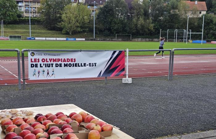 165 Studenten der IUT Moselle-Est nehmen an den 1. Olympischen Spielen teil