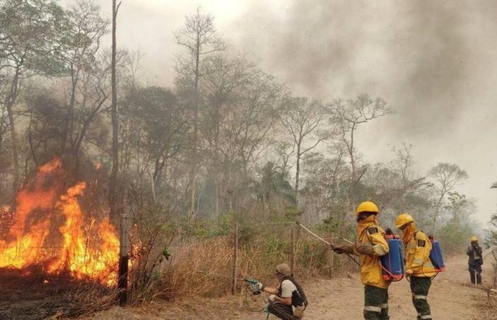 In Bolivien ging das Äquivalent der Größe Irlands in Rauch auf