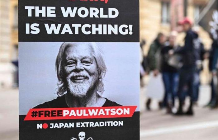 Grönland. Die Haft von Paul Watson wurde trotz internationalen Drucks erneut verlängert