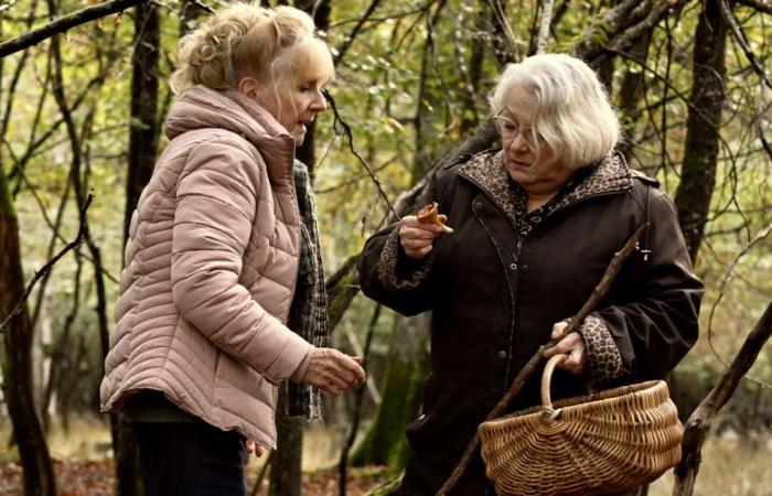 „Wenn der Herbst kommt“, Die unwürdigen alten Damen von François Ozon