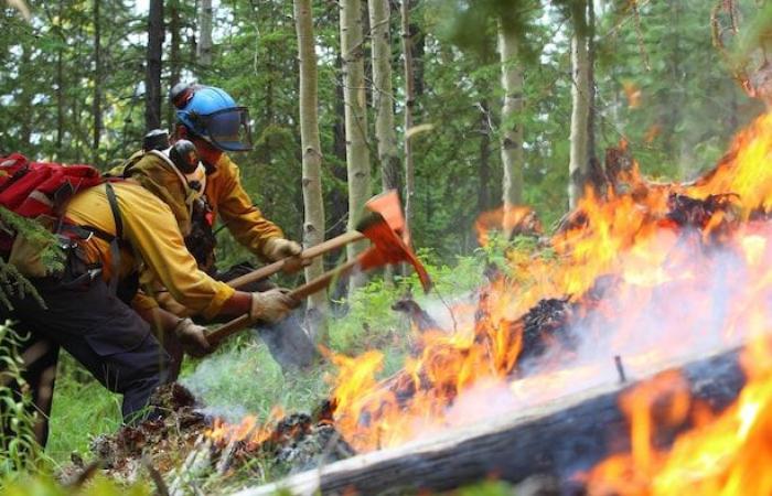 Der lange Weg der Kulturbrände im Yukon