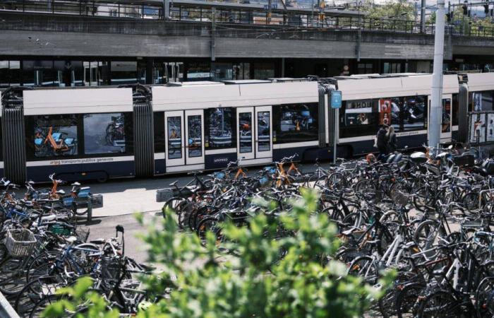 Der Genfer Staatsrat ist irritiert über den Appell gegen die kostenlose TPG, ein Symptom der „Verrechtlichung“ der politischen Debatte