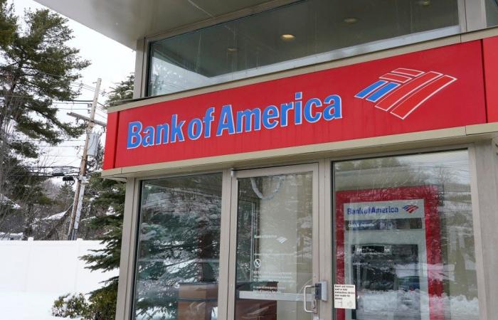 Ausfall der Bank of America: Konten nicht verfügbar, kein Saldo