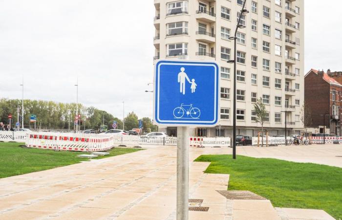 „Radfahrer und Fußgänger werden sich in den nächsten 50 Jahren hassen“