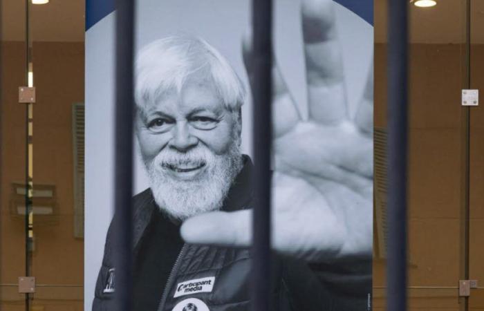 Grönland. Die Haft des Walschützers Paul Watson wurde erneut verlängert