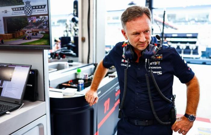 Formel 1 | Horner relativiert die Abgänge von Newey und Wheatley