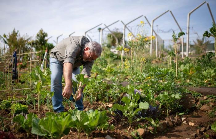 Was tun im Oktober im Garten? – Masculin.com