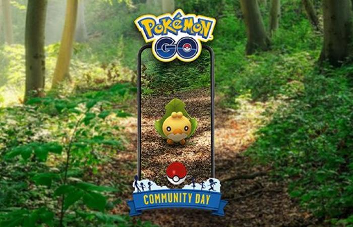 Larveyette ist während des Community Day im Oktober 2024 in Pokémon GO kampfbereit