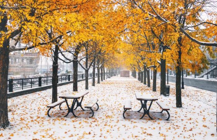 Der erste Schnee könnte in Quebec bereits im Oktober fallen: Hier erfahren Sie, was Sie wissen sollten