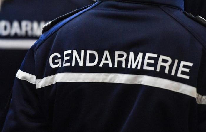 Die Leiche einer Frau wurde drei Monate nach ihrem Tod gefunden – Angers Info