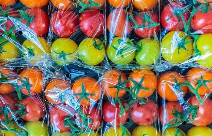 Der Preis für Tomaten steigt um 37 %. Der Etikettenwalzer wird nicht enden.