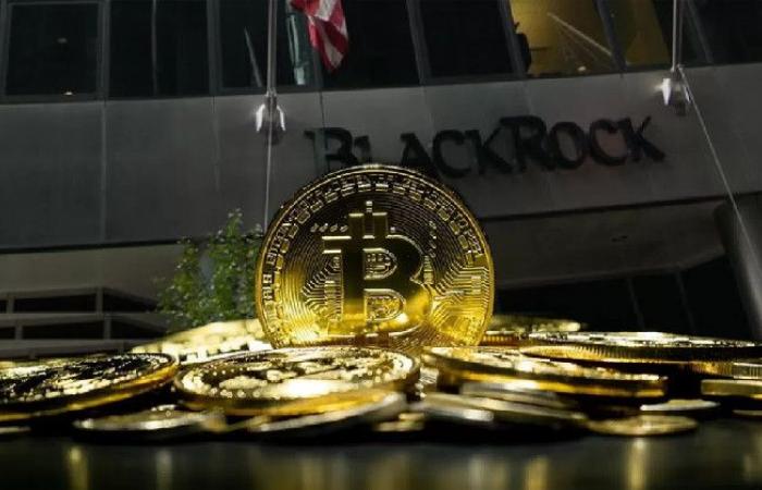 BlackRock gibt bekannt, wann der Bitcoin-Preis aufgrund von Ereignissen wie dem Iran-Israel-Vorfall steigen wird – hier ist das voraussichtliche Datum