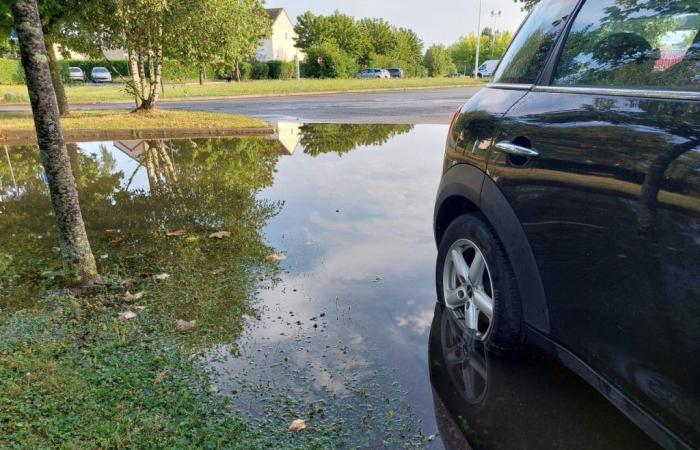 Der September 2024 wurde zum regenreichsten Monat seit 25 Jahren gewählt