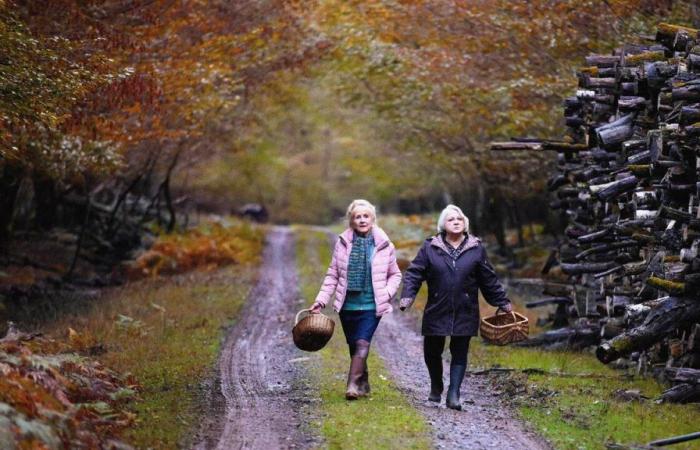 „Wenn der Herbst kommt“, Pilze und das Ungesagte