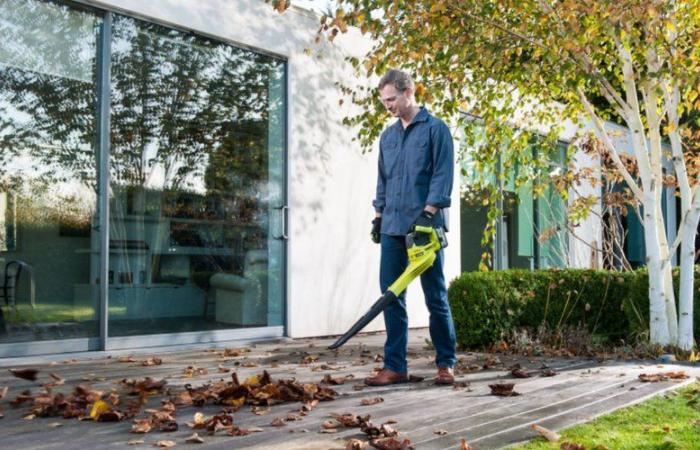 Dieser im Herbst sehr beliebte Laubbläser von Ryobi profitiert von einem Preisnachlass