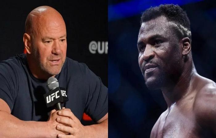 UFC oder Boxen? Dana White sagt, Ngannou hätte im Achteck besser gewonnen