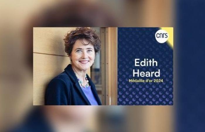 Wer ist Edith Heard, auf Epigenetik spezialisierte Biologin und CNRS-Goldmedaillengewinnerin?